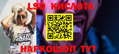 спиды Донской