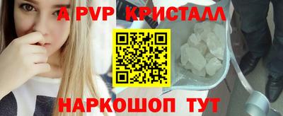 спиды Донской