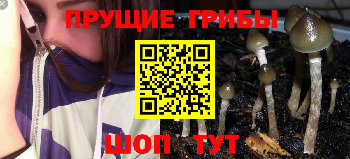Галлюциногенные грибы MAGIC MUSHROOMS  Галлюциногенные грибы ЛСД  Курчалой  Вход с VPN 
